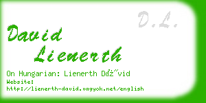 david lienerth business card